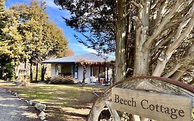 Beech Cottage - Lake Tekapo